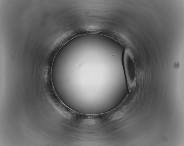 X0000089390404200706221322