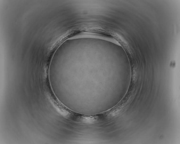 X0000089390405200706221322