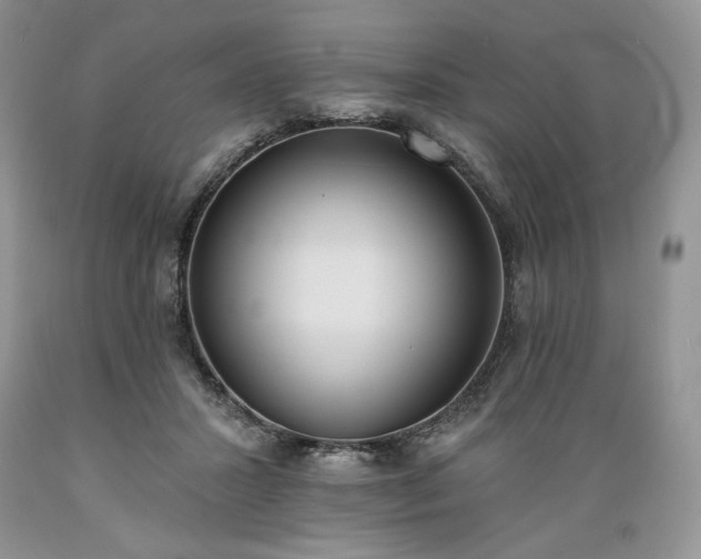 X0000089390407200706221322