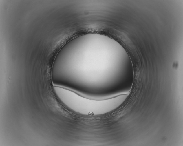 X0000089390411200706221322
