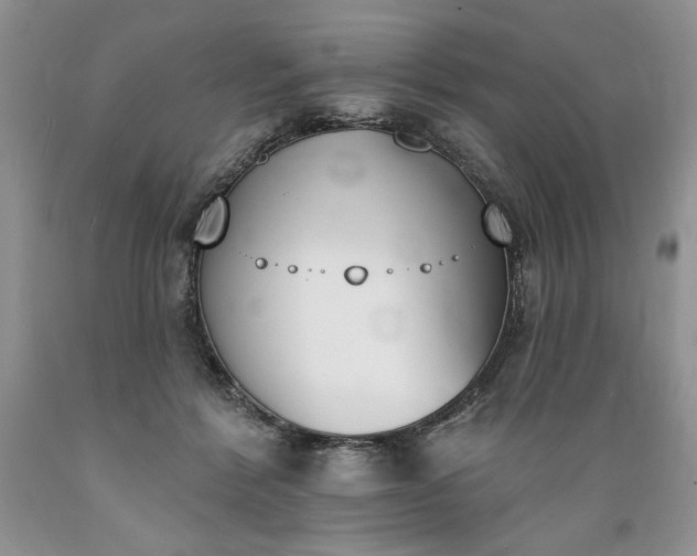 X0000089390412200706221322