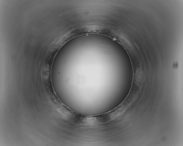 X0000089390413200706221322