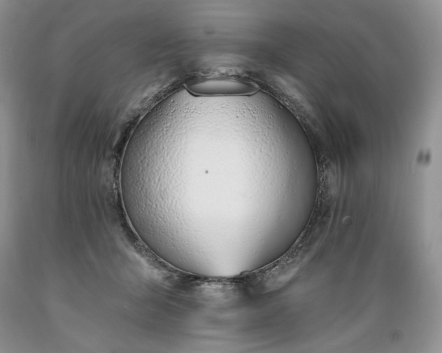 X0000089390415200706221322