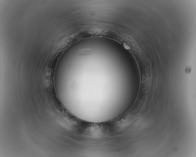 X0000089390416200706221322