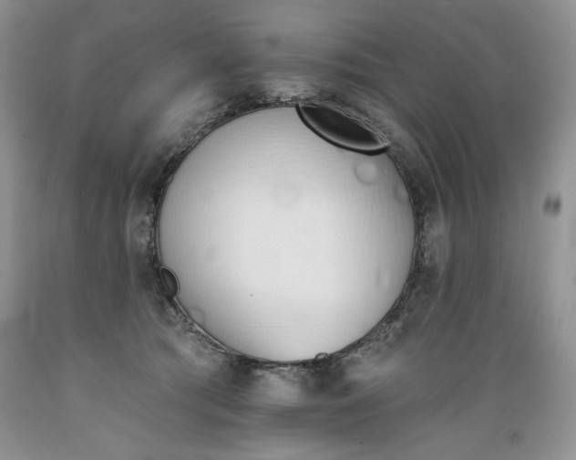 X0000089390417200706221322