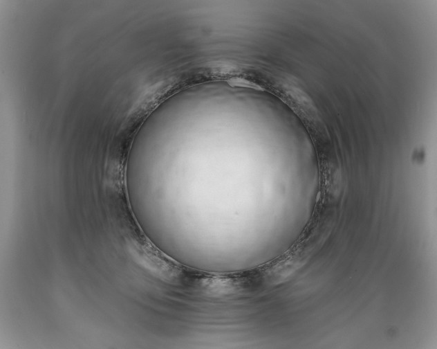X0000089390419200706221322