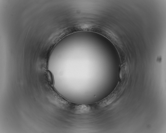 X0000089390421200706221322
