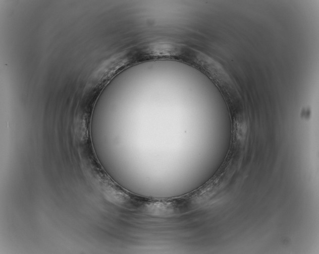 X0000089390422200706221322