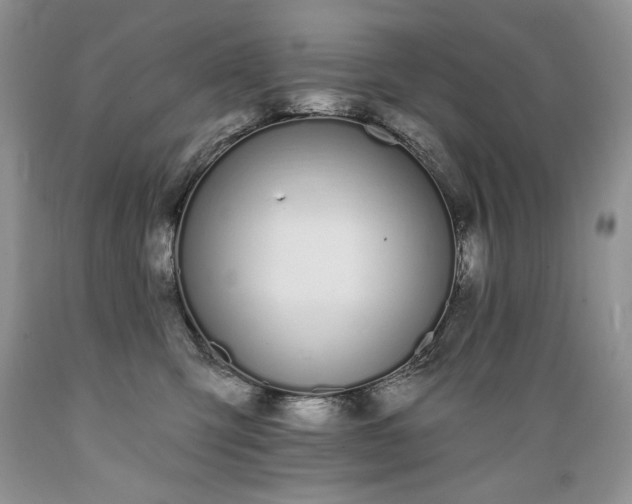 X0000089390423200706221322