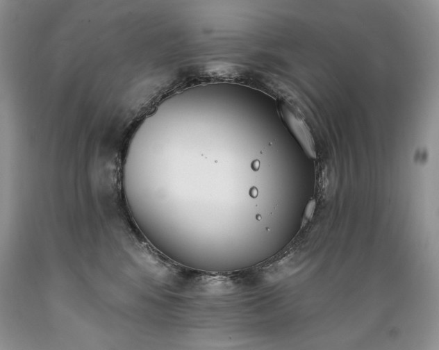 X0000089390424200706221322