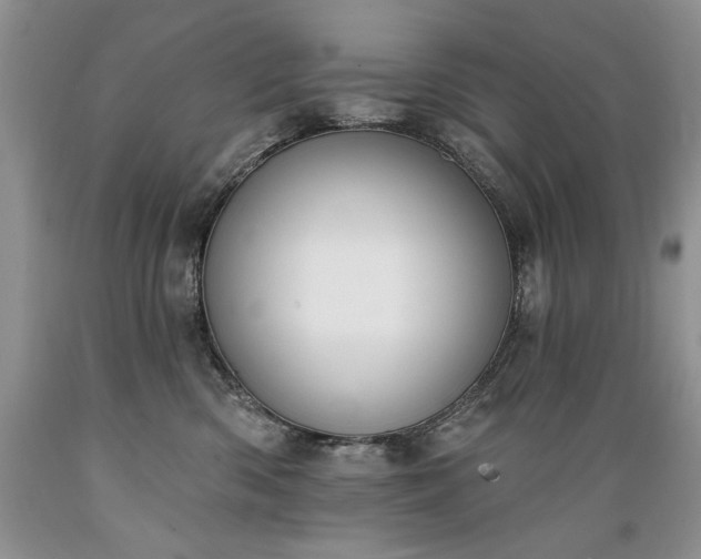 X0000089390426200706221322