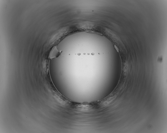 X0000089390428200706221322