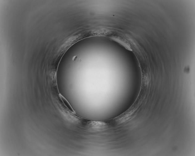 X0000089390429200706221322