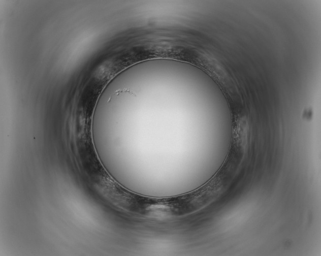 X0000089390430200706221322
