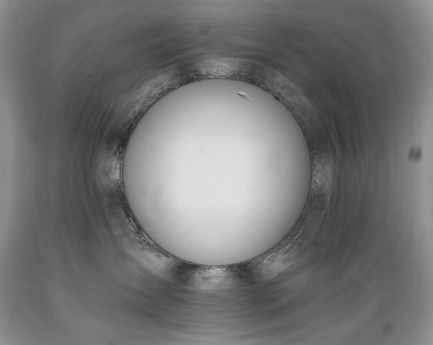 X0000089390431200706221322