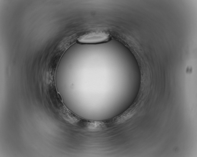 X0000089390432200706221322