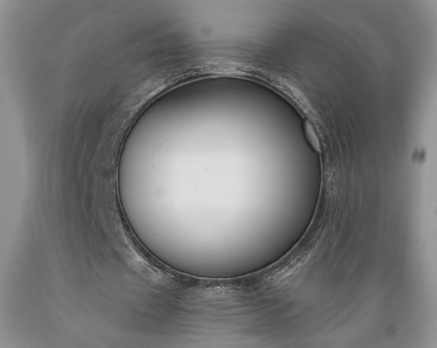 X0000089390433200706221321