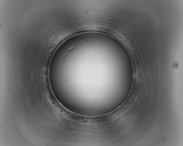 X0000089390434200706221321