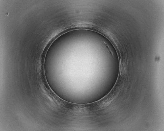 X0000089390435200706221321