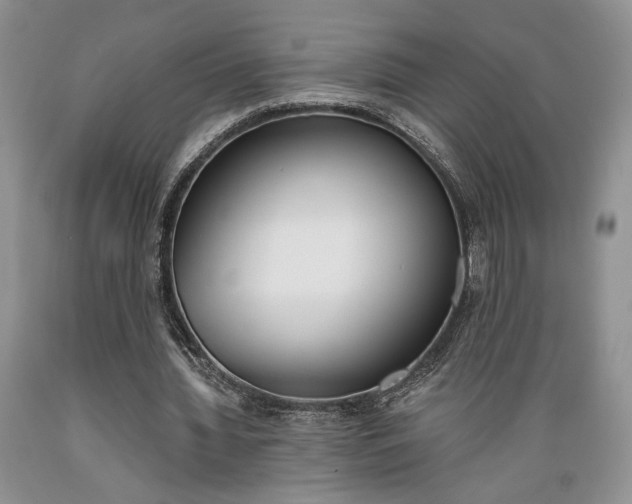X0000089390436200706221321