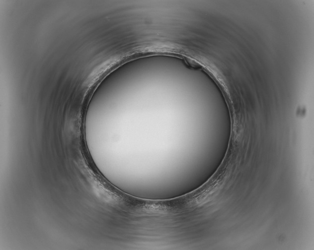 X0000089390437200706221321