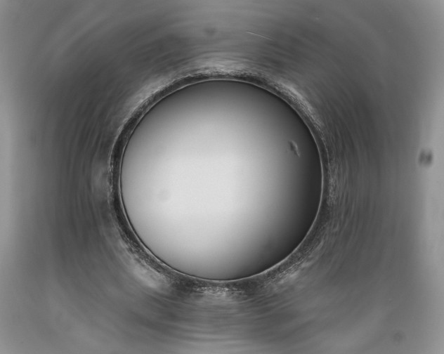 X0000089390439200706221321