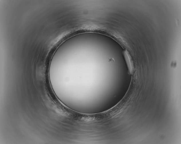 X0000089390440200706221321