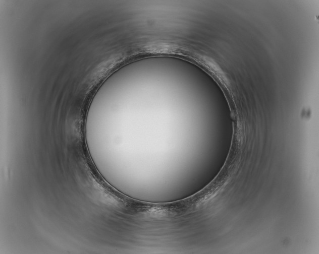 X0000089390441200706221321