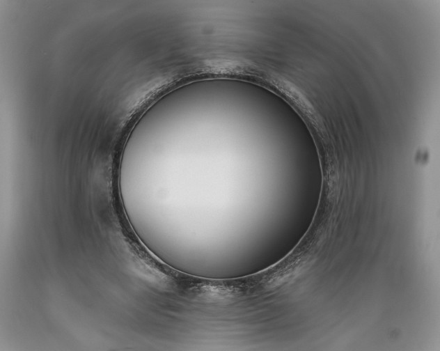 X0000089390442200706221321
