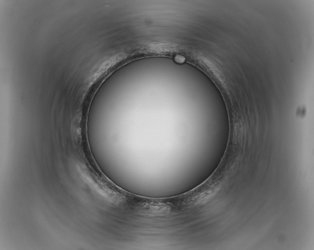X0000089390443200706221321
