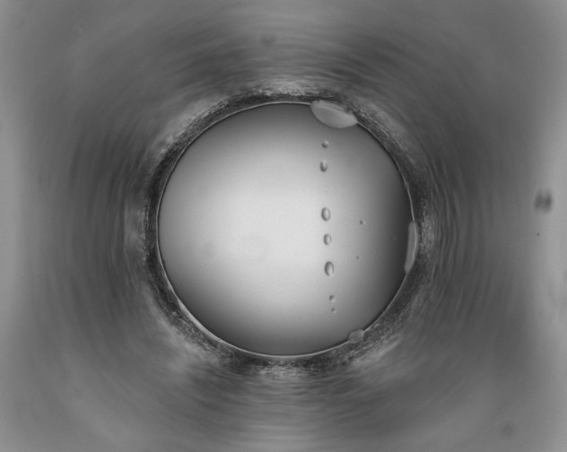 X0000089390444200706221321