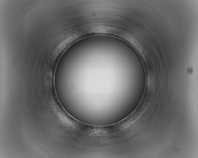 X0000089390445200706221321