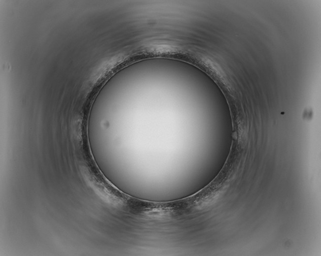 X0000089390447200706221321