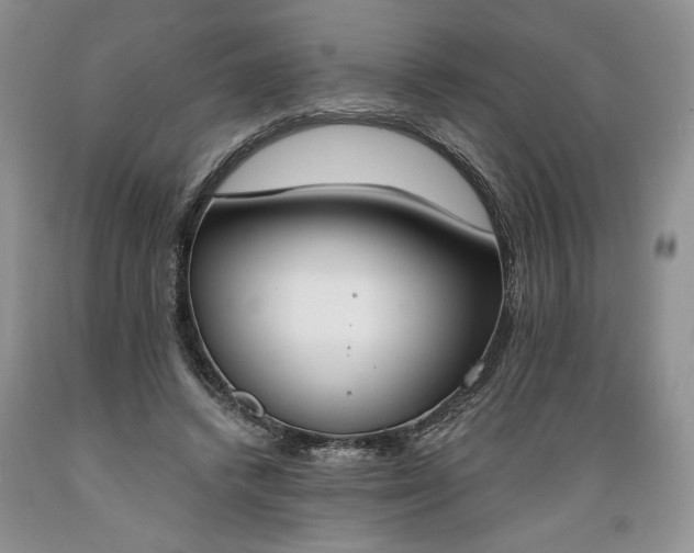 X0000089390448200706221321