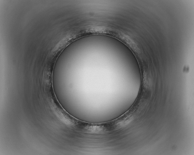 X0000089390449200706221321