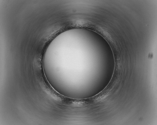 X0000089390450200706221321