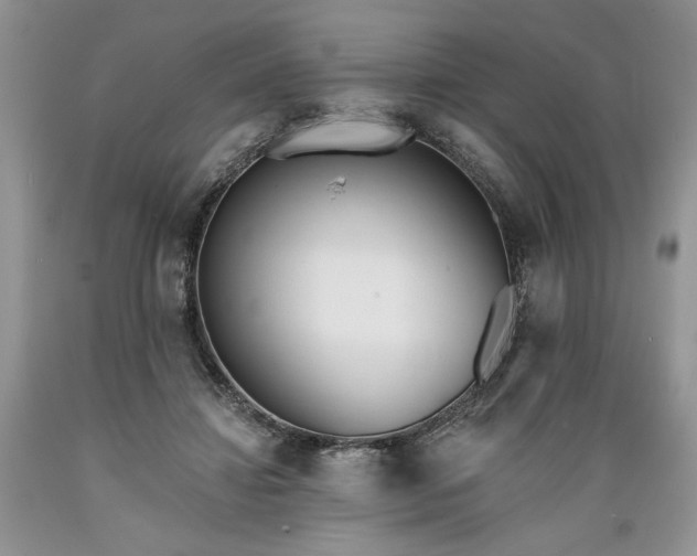 X0000089390452200706221321