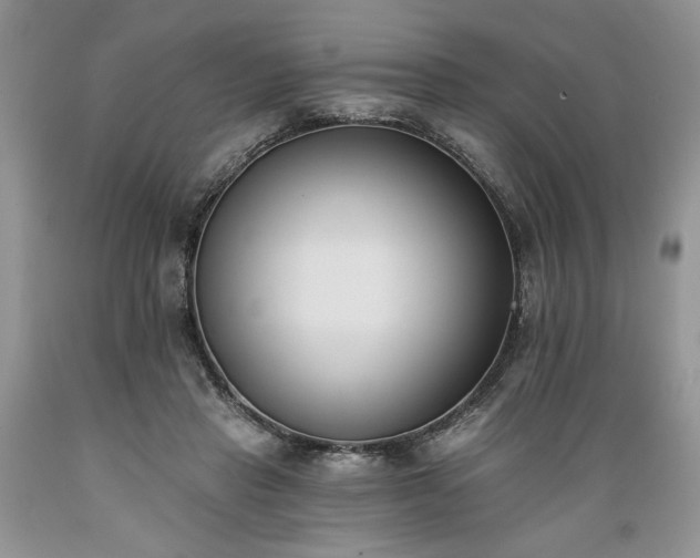 X0000089390453200706221321