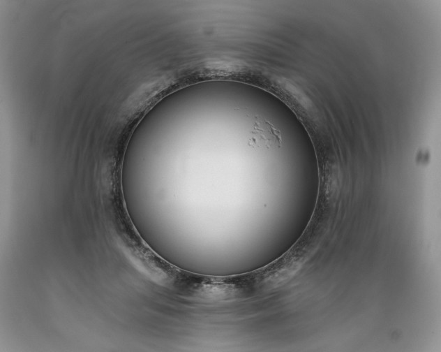 X0000089390455200706221321