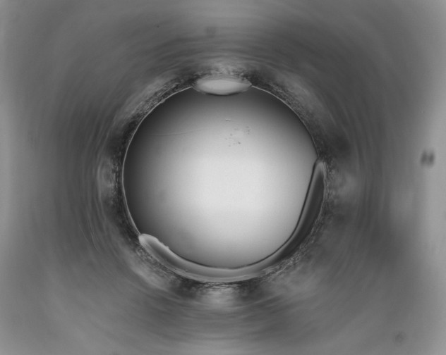 X0000089390456200706221321