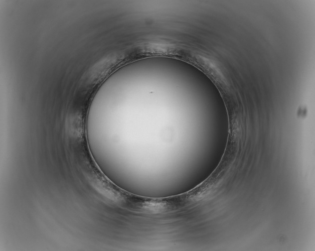 X0000089390457200706221321