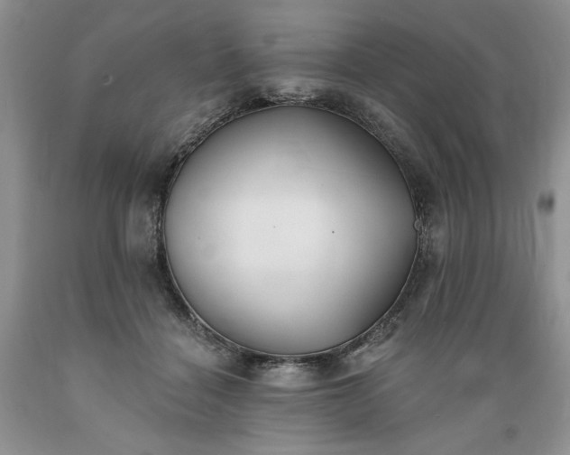 X0000089390460200706221322