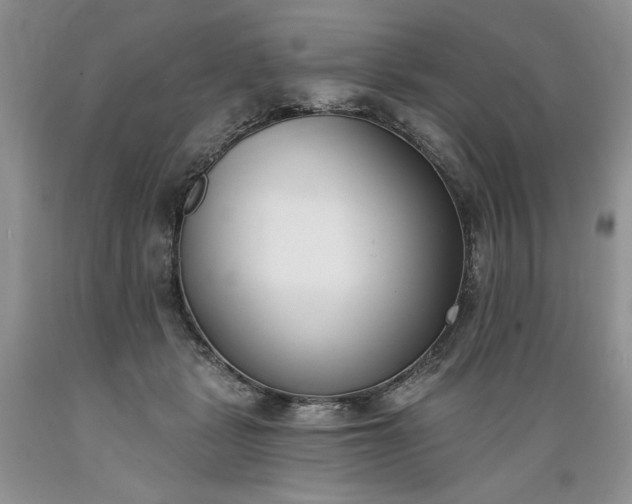 X0000089390461200706221322