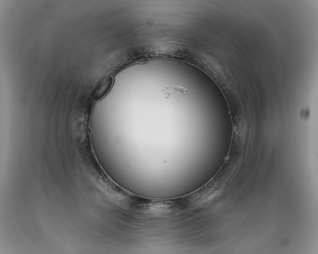 X0000089390462200706221322