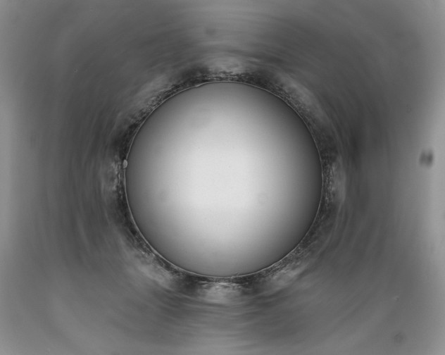 X0000089390463200706221322
