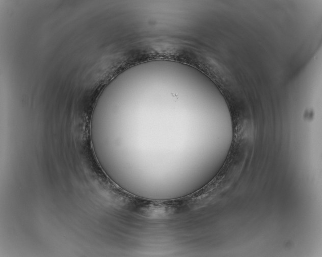 X0000089390464200706221322