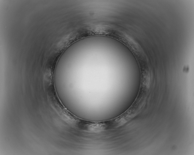 X0000089390465200706221322