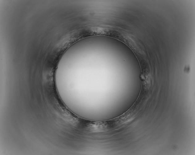 X0000089390466200706221322