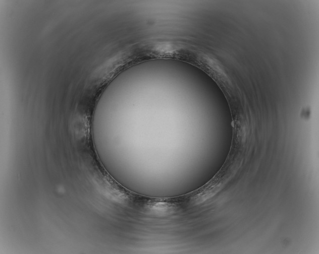 X0000089390467200706221322