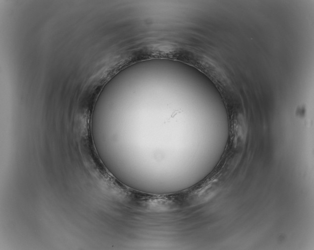 X0000089390468200706221322